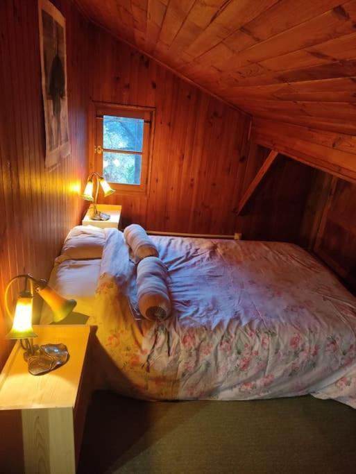 Chalet Accueillant Et Familial Saint-Martin-Vésubie Dış mekan fotoğraf